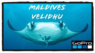 Velidhu 2018 | Maldives