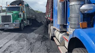 Casi quedo pegado descargando el carbón 🥵 proceso de descargue de carbón en Camco 🚛