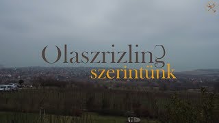 Olaszrizling Szerintünk 2018