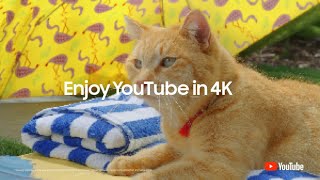 AI Upscaling: Enjoy your content in 4K or higher | Samsung