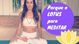 Meditar: porque na postura de lotus (padmasana)