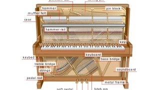 Why Regulating Your Upright Piano is So Important.- Bill The Piano Tuner