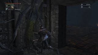 Surprise Illusory Wall in Bloodborne!