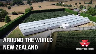 Southern Belle Orchard, Matamata, New Zealand