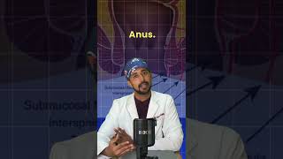 Piles vs Fistula: Explained & Treated! Dr. Arpit Bansal