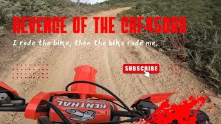 Revenge of the CRF450RX