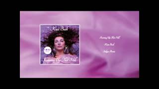 Kate Bush - Running Up That Hill (Sakgra Remix)