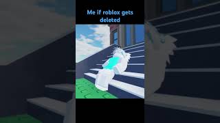 me if roblox gets deleted