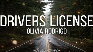 Drivers License | Lyrics Video | Olivia Rodrigo