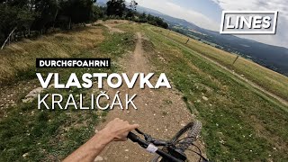 Vlastovka - Trail & Enduro Park Kraličák 🇨🇿 | LINES