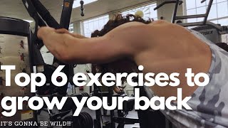 Top 6 Back Exercises for Beginners | Build Muscle and Size