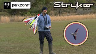 Parkzone Stryker Vs. Freewing Lippisch P.15