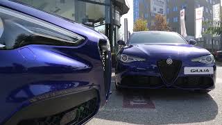 Alfa Romeo Giulia & Stelvio Sprint Blu Metalizzato