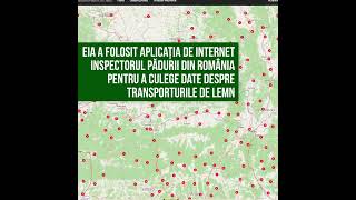 În Spatele Scenelor: Cum se ascund distrugerile padurilor antice din Europa