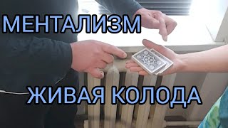 МЕНТАЛИЗМ ч1 / ЖИВАЯ КОЛОДА / ТЕЛЕКИНЕЗ / ОБУЧЕНИЕ ФОКУСАМ С КАРТАМИ