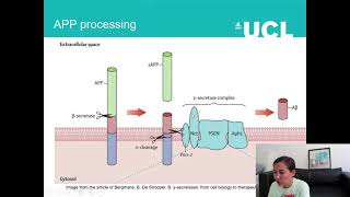 Мой магистерский проект по нейробиологии в UCL. Бэкграунд, цели, методы и первые проблемы.