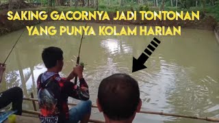 Lihat..Dahsyat nya umpan alami buat bawal harian