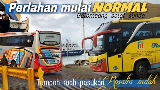 KEMBALI NORMAL‼️SETELAH CUACA EXTREM BUS ROSALIA INDAH TUMPAH RUAH DI DERMAGA EXCEKUTIVE