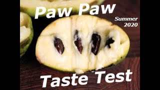 20k Subscribers, Paw Paw Taste Test, Thank You