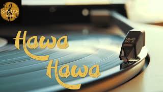 Hawa Hawa | Hassan Jahangir | Hindi | Remastered