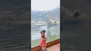 Tiger attacks a small girl #shorts