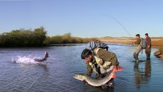 Pecanje tajmena u Mongoliji - Ekspedicija Mongolija - Reka Halhin III deo | Fishing big taimen