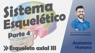 Sistema Esquelético - Aula 04 - Esqueleto axial III - Anatomia Humana