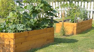 Watering plants. #gardening  #garden #wilddaisyhomestead #farming