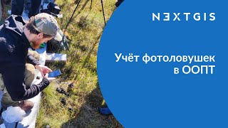 NextGIS Заповедник – Учёт фотоловушек в Центрально-Лесном заповеднике