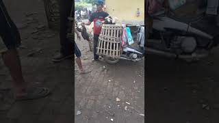 pasar ayam bangkok dan ayam mangon di pleret yogyakarta