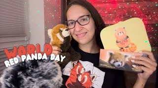 ASMR Red Panda Trigger Assortment 🐻❤️ (Fabric Scratching, Tapping, Fluffy Mic, Mouth Sounds)