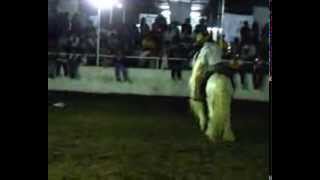 Caballos Bailadores en la Expo Ganadera Jalisco