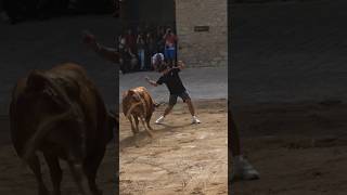 BRUTAL QUIEBRO A ESTA VACA DE ARRIAZU!! #toros #torospopulares #shrots #quiebro