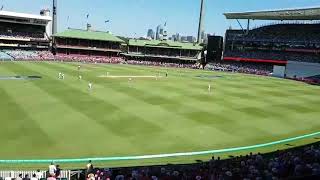 MY day above the Barmy Army on Pink Day at SCG