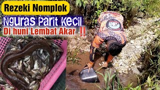 NGURAS DIPARIT KECIL PINGGIR JALAN BANYAK YANG ENGGAK TAHU TERNYATA ADA IKANYA MONSTER #ngurasparit