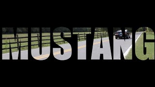 Mustang Commercial