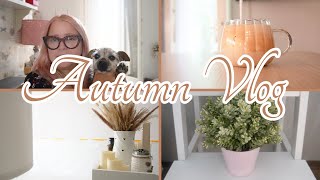 AUTUMN VLOG: UN SACCO DI NOVITA' BELLE E BRUTTE 😩 | NUOVO BAGNO