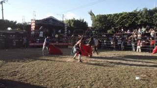 Jaripeo 1