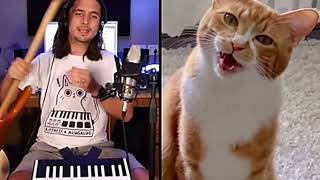 #CATSONG