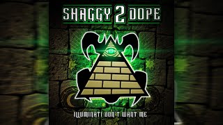 Shaggy 2 Dope - Illuminati Don't Want Me (Single)