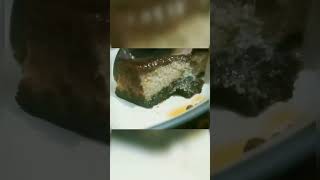 #chocoflan #cake #homemade #recipe #youtubeshorts