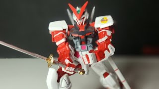 Let's look at HG Red Frame Astray.