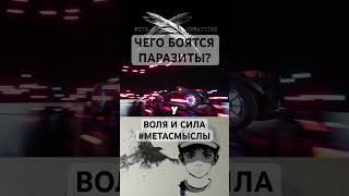 Чего боятся #паразиты? #Воля и #сила - Подпишитесь на #МетаСмыслы