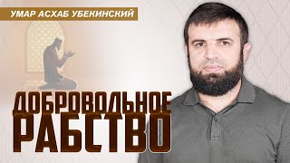 Добровольное рабство верующих | Умар Асхаб Убекинский