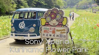 横須賀 くりはま花の国 ペリー公園 | Sony Xperia 1 | FiLMiC Pro