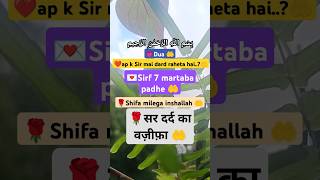 💗Kya ap k sir mai dard raheta hai..?💌 ap ye dua 7 bar padhe inshallah shifa milegi 🤲#wazifa #dua 🤲💗