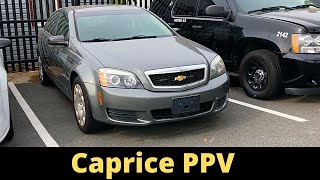 Caprice PPV Auction and Price