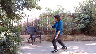 Deflect Parry Punch in Tai Chi Short Form (rear view) - 8/25/24