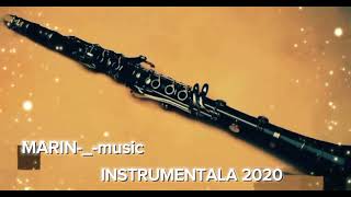 INSTRUMENTALA 2020. ❌️✅️