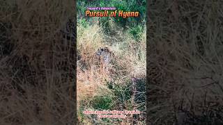 🐆Leopard patience for hunting a Hyena🐺 #youtube #leopard #hyena #amazingfacts #ytviral #ytshorts